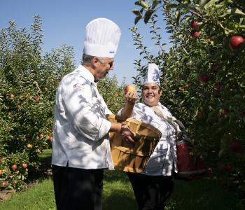 Chefs apple picking for the Apple Event at Crossroads Culinary Center (C3) in Ellicott Complex on North Campus