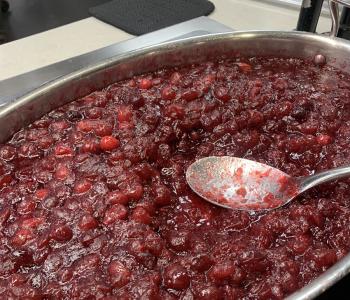 Cranberry Sauce