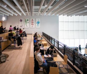 Balcony seating area at One World Café. Photo by Douglas Levere.